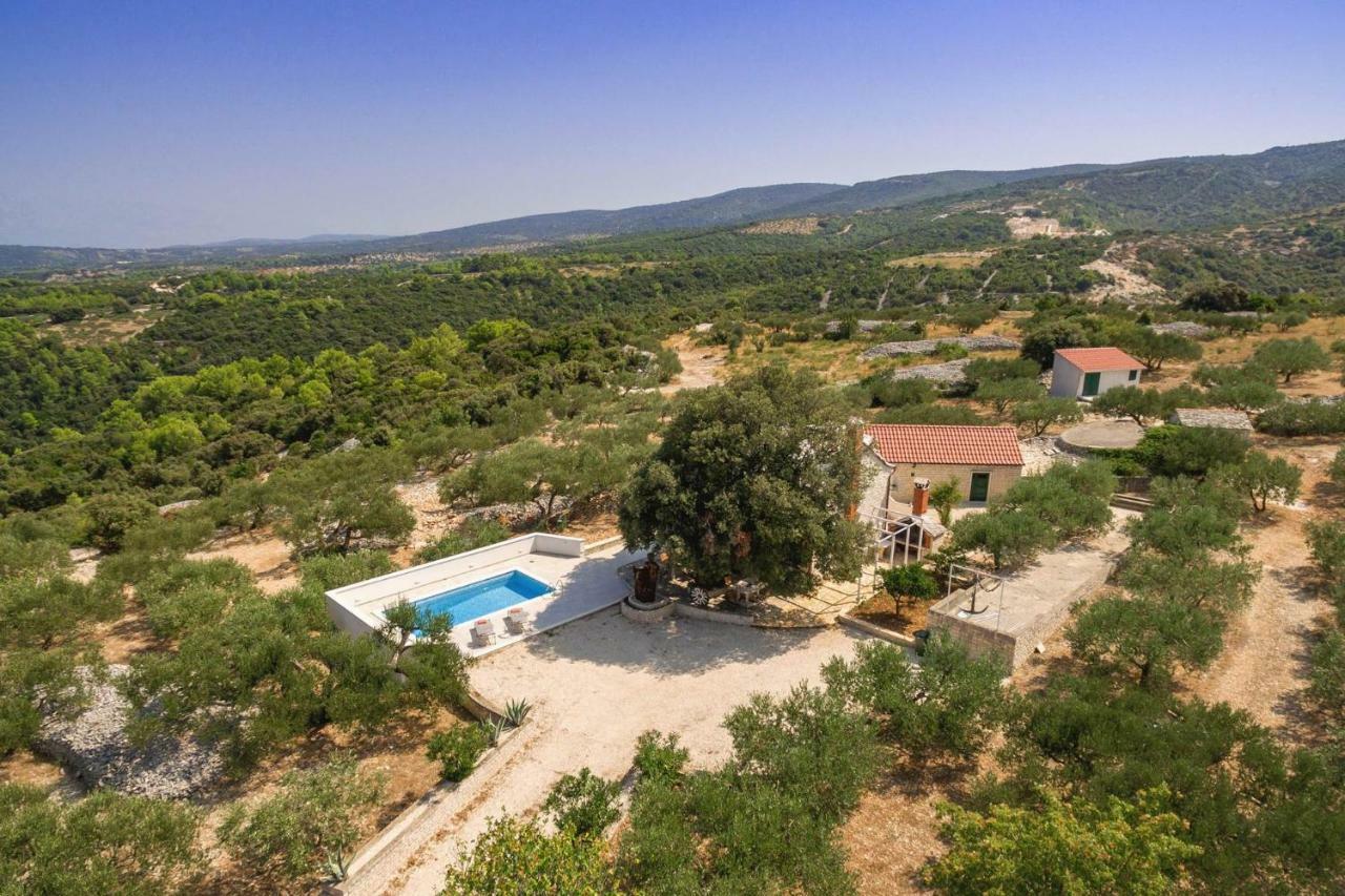 Villa Dubrava Tranquil Retreat Nestled In An Olive Grove For Serene Escapes Pucisca Dış mekan fotoğraf