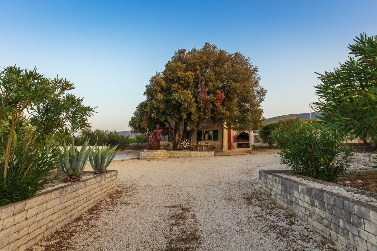 Villa Dubrava Tranquil Retreat Nestled In An Olive Grove For Serene Escapes Pucisca Dış mekan fotoğraf